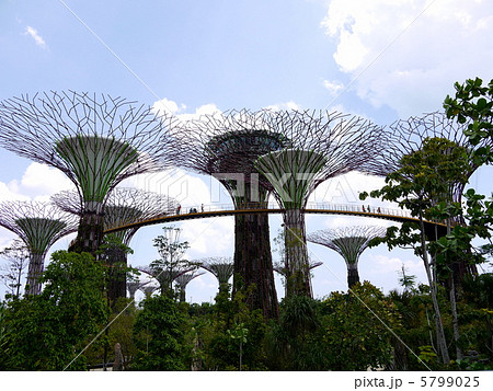 Supertree Grove 3 5799025