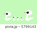 蛇の家族 5799143