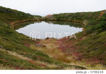 旭岳の満月沼 5799228