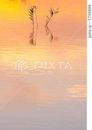 水鏡 水鏡 5799866
