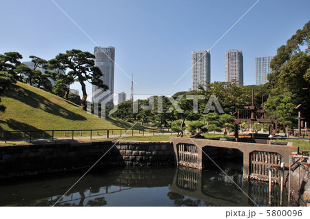 浜離宮恩賜庭園 5800096