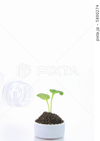 ペットボトル　新芽　キャップ 5800274