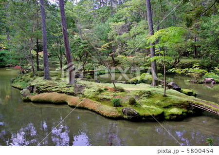 西芳寺庭園の写真素材 [5800454] - PIXTA