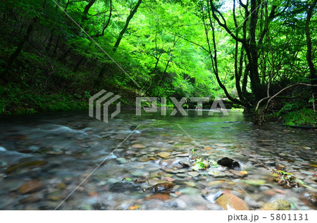 男池 男池 5801131