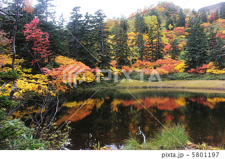 大雪高原温泉の紅葉沼めぐり 大雪高原温泉の紅葉沼めぐり 5801197