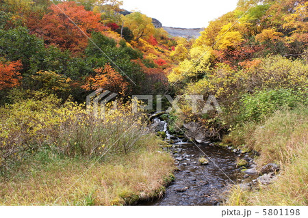 大雪高原温泉の紅葉沼めぐり 大雪高原温泉の紅葉沼めぐり 5801198