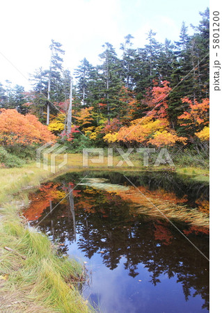 大雪高原温泉の紅葉沼めぐり 5801200