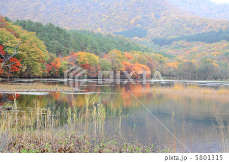 紅葉 紅葉 5801315