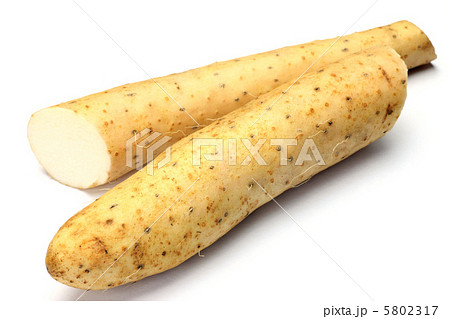ナガイモ 5802317