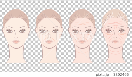 老化の過程 エイジング 加齢 世代 女性 イラスト  5802466