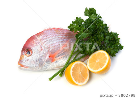 レンコダイ 5802799