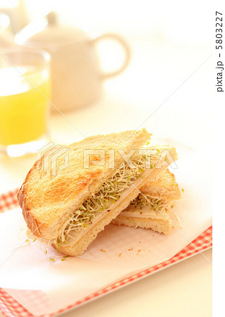 アルファルファとチキンハムのホットサンド 5803227