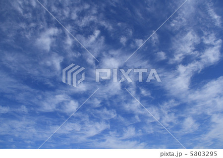 空 5803295