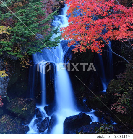 竜頭の滝紅葉 5803349