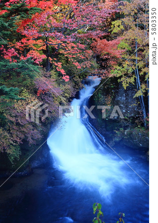 竜頭の滝紅葉 5803350