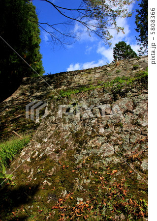 岩村城・本丸石垣西面 5808366