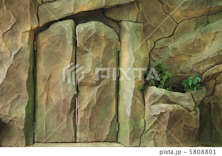 Stone doors 5808801