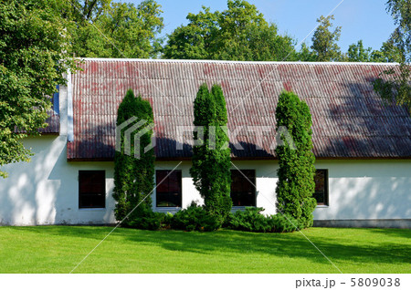 Three trees and the house 5809038