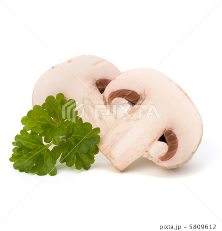 Champignon mushroom and fresh parsley 5809612