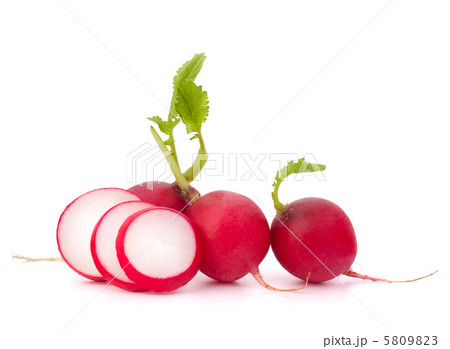Small garden radish Small garden radish 5809823