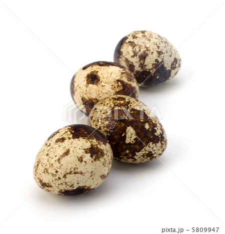 quail eggs 5809947