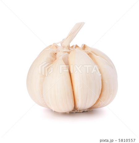 garlic bulb garlic bulb 5810557