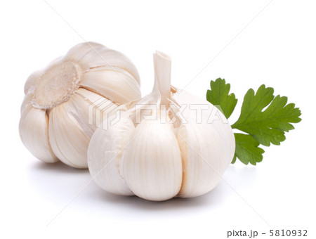garlic bulb 5810932
