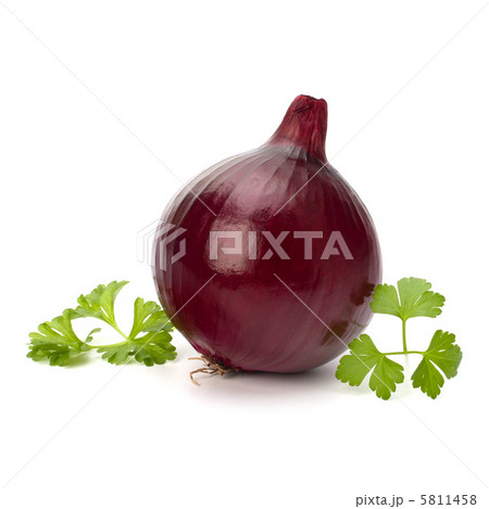 Red onion tuber and fresh parsley Red onion tuber and fresh parsley 5811458