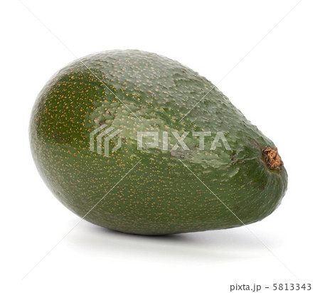 avocado isolated on white background avocado isolated on white background 5813343