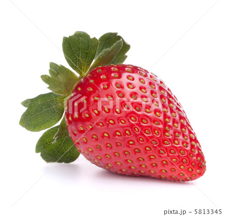 Strawberry Strawberry 5813345