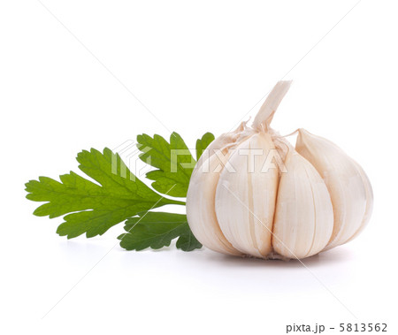 garlic bulb 5813562