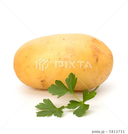 New potato and green parsley 5813731