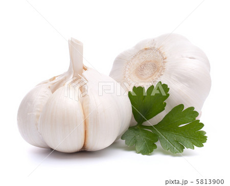 garlic bulb 5813900