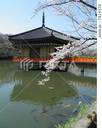 安部文殊院 仲麻呂堂(金剛浮御堂) 安部文殊院 仲麻呂堂(金剛浮御堂) 5814429