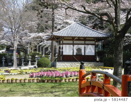 安部文殊院 不動堂 安部文殊院 不動堂 5814487