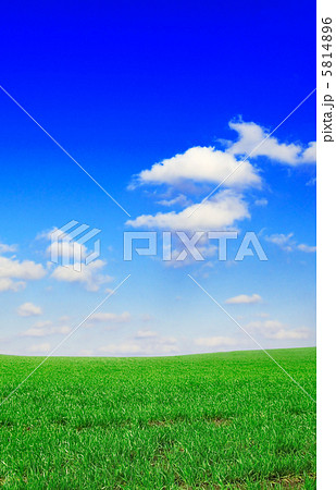 field field 5814896