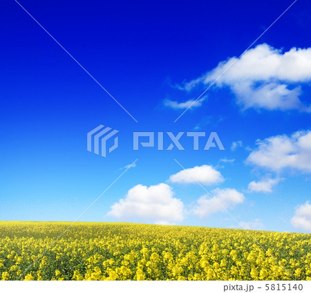 field field 5815140