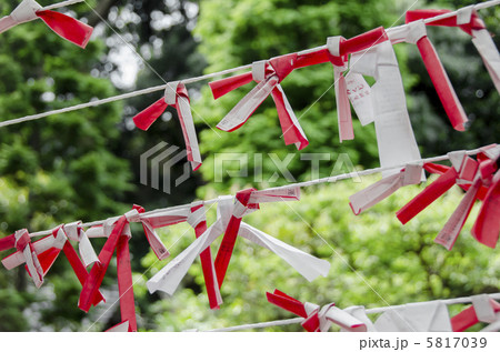 神社のおみくじ 神社のおみくじ 5817039