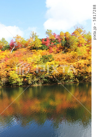 紅葉の大雪高原温泉沼巡りの写真素材