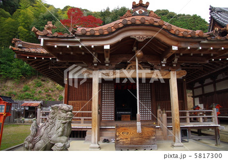 宝積寺 小槌宮 宝積寺 小槌宮 5817300