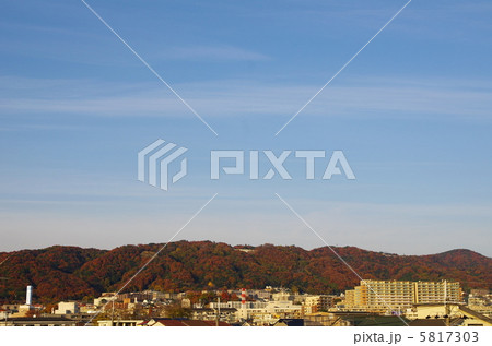五月山の紅葉 5817303