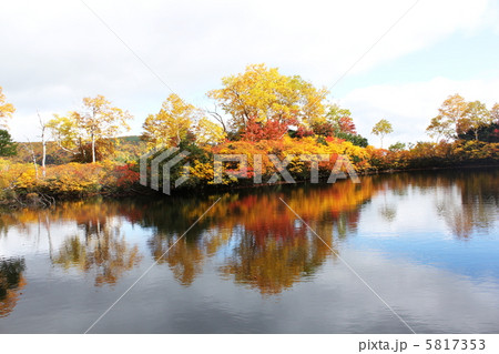 紅葉の大雪高原温泉沼巡り 紅葉の大雪高原温泉沼巡り 5817353