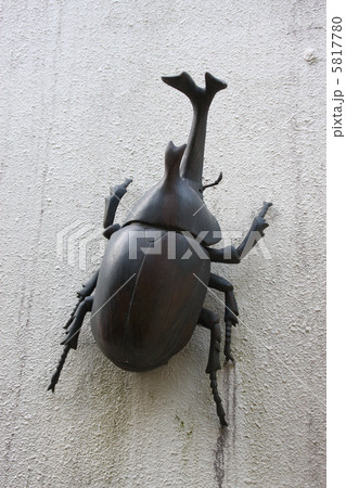 カブトムシ 5817780