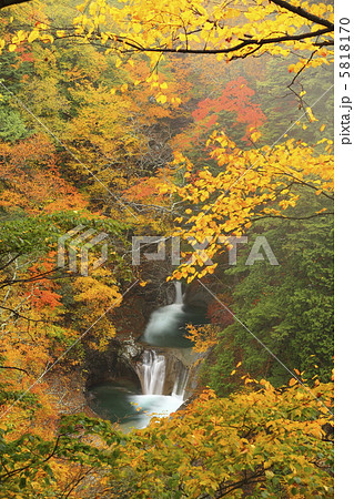 紅葉の時期の七ツ釜五段の滝 5818170