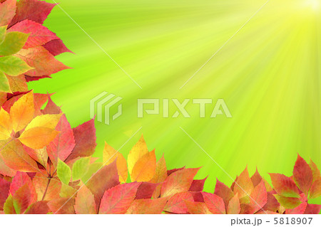 autumn leaves autumn leaves 5818907