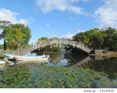 大沼公園のハスと橋 5818930