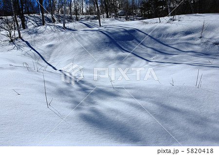 冬の高原 5820418