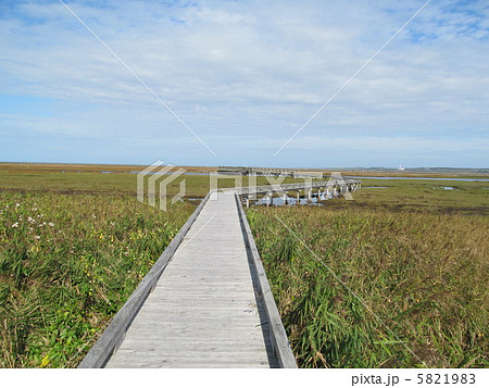 春国岱の木道 5821983