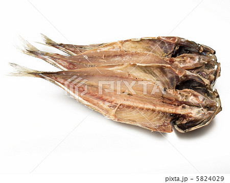 冷凍された鯵　白背景 5824029