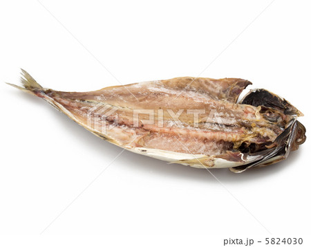鯵の干物 白背景 鯵の干物 白背景 5824030
